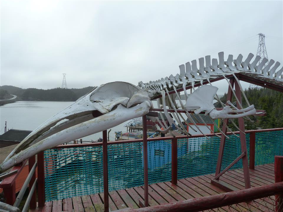 20230620073958.jpg